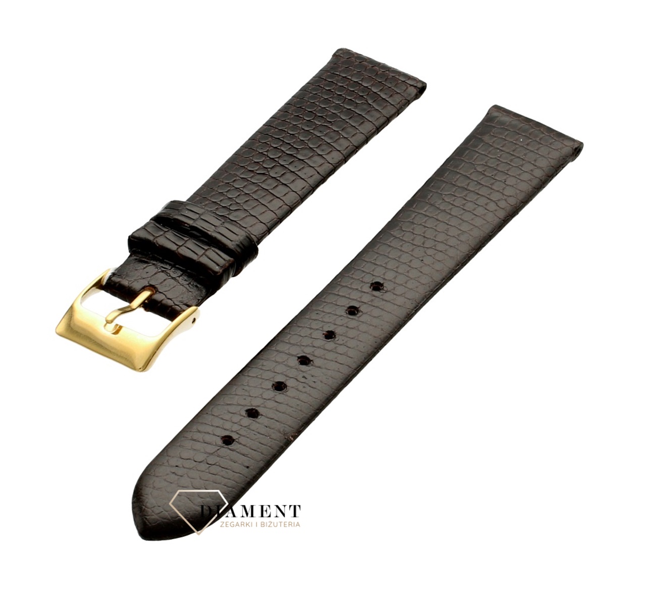 617R.02.18R JASZCZURKA.jpg